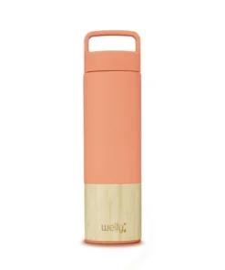 Welly Bottle Welly 18oz Vacuum Insulated Stainless Steel Wide Mouth Water Bottle Mint 16 Welly Bottle Welly 18oz Vacuum Insulated Stainless Steel Wide Mouth Water Bottle Mint -Water Bottles Sales unnamed file 1912