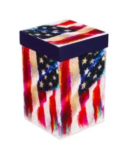 Evergreen Beautiful American Flag Ceramic Travel Cup with Lid - 5 x 4 x 7 Inches -Water Bottles Sales unnamed file 2444