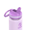 Takeya 14oz Kids' Stainless Steel Water Bottle Grape Purple