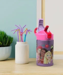 Disney Princess 14oz Stainless Steel Double Wall Valiant Bottle - Zak Designs -Water Bottles Sales unnamed file 3875