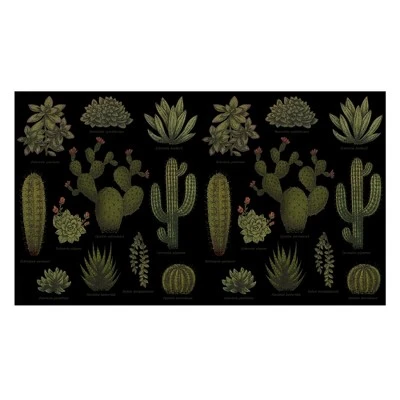 Lost Gods Botanical Cactus Stainless Steel Water Bottle 3 Lost Gods Botanical Cactus Stainless Steel Water Bottle